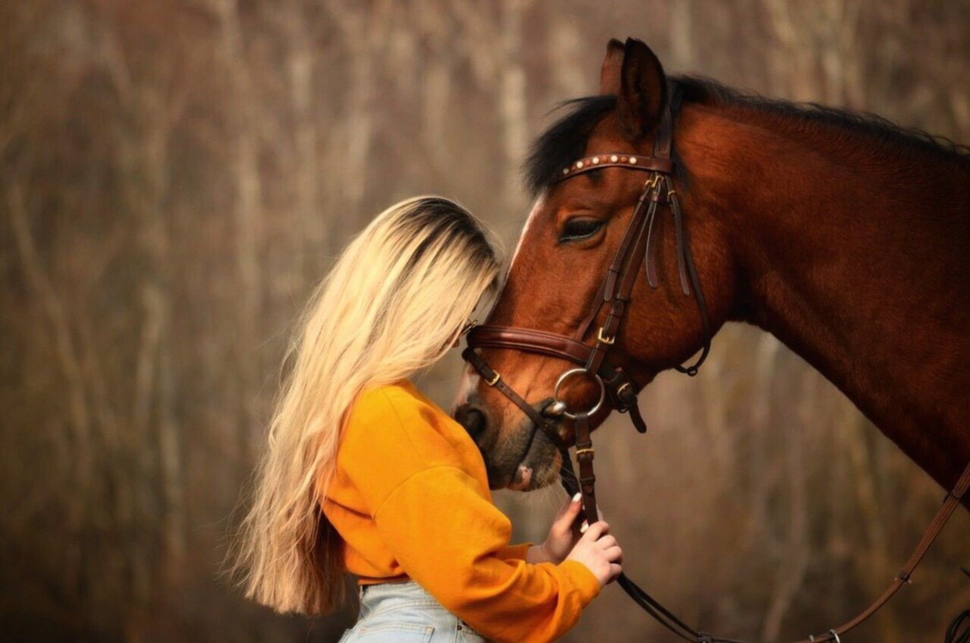 Кінний клуб &quot;Гармонія. Harmony stable&quot;