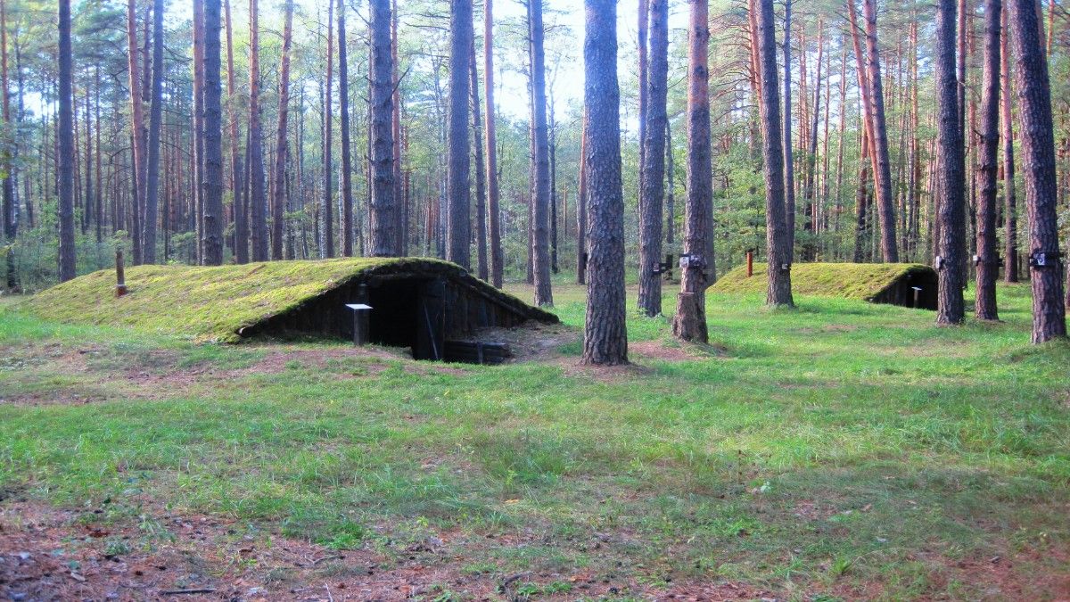 Музейно-меморіальний комплекс партизанської слави «Лісоград» (філія Чернігівського обласного історичного музею імені В. В.Тарновського)