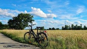 Прокат велосипедів