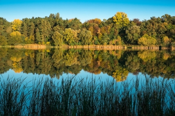 Регіональний ландшафтний парк «Ялівщина»