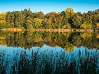 Регіональний ландшафтний парк «Ялівщина»