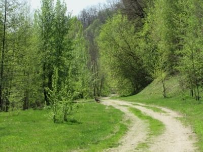 Дорога між селами Деснянське та Мізин